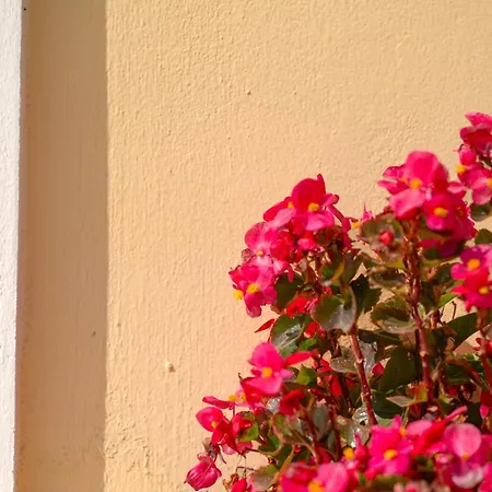 Seasunrise Перама