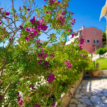 Villa Seasunrise Perama (Corfu)